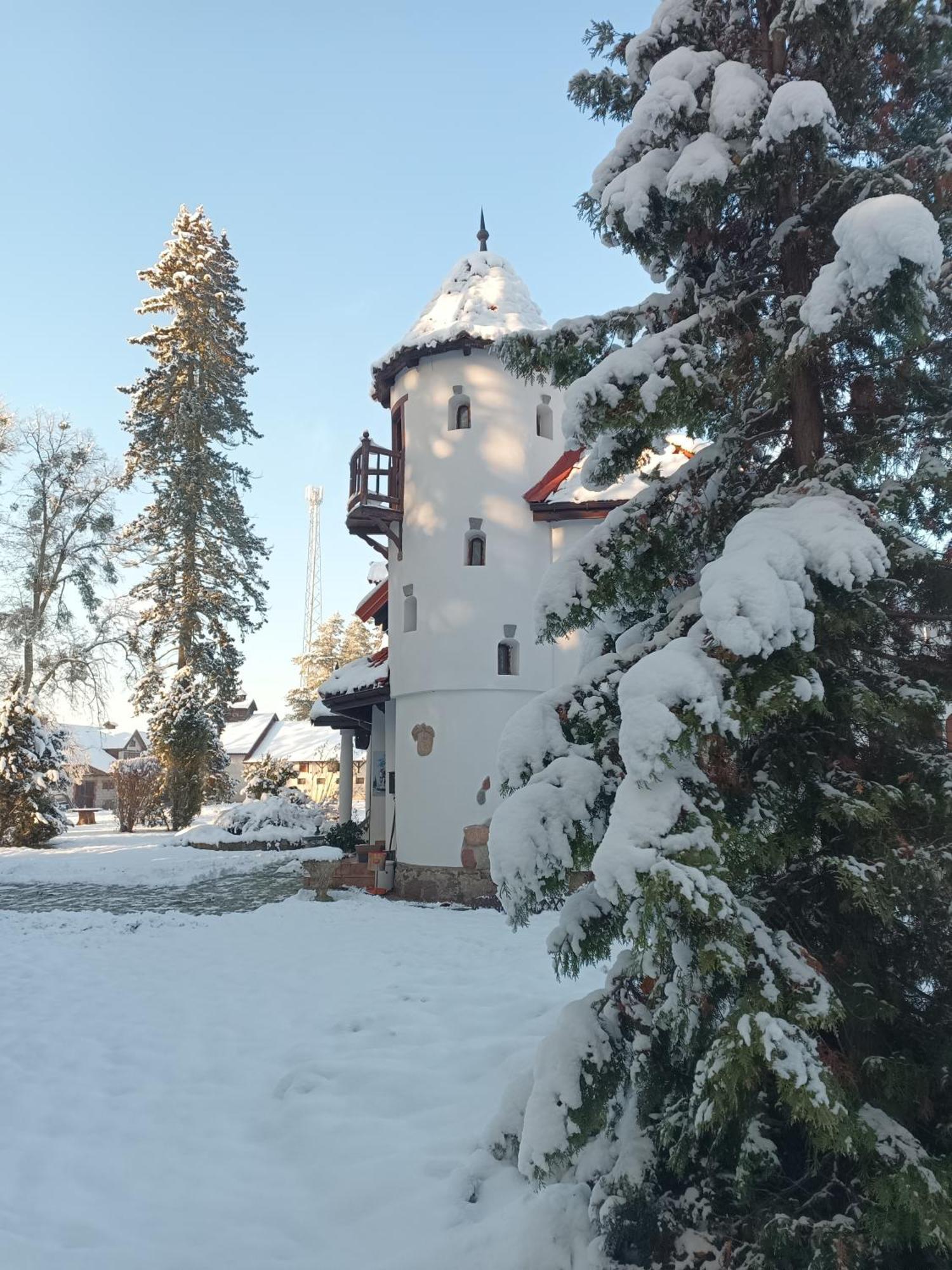 Pensjonat Wiking Старе-Яблонкі Екстер'єр фото